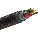 Кабель Native Union Belt Cable XL Cosmos Black USB / Lightning, 3м, черный— фото №3