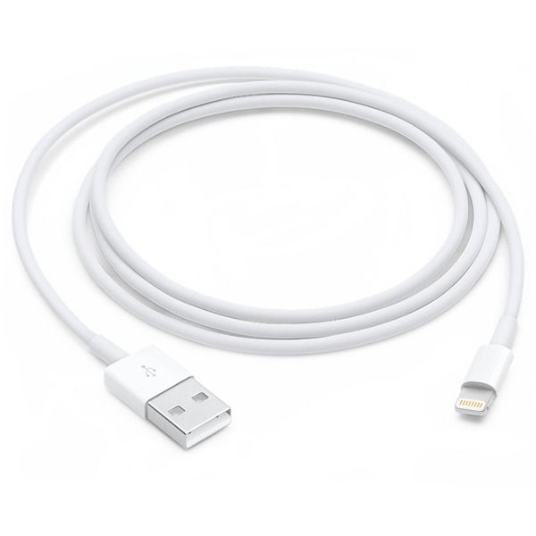 Кабель Apple Lightning/USB (1м) USB / Lightning, 1м, белый— фото №0