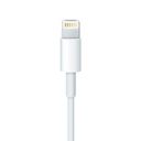 Кабель Apple Lightning/USB (1м) USB / Lightning, 1м, белый— фото №1