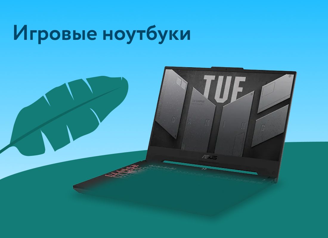 Категория ноутбуки