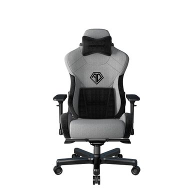Кресло игровое Anda Seat T-Pro 2, искусственная кожа,цвет: серый+черный