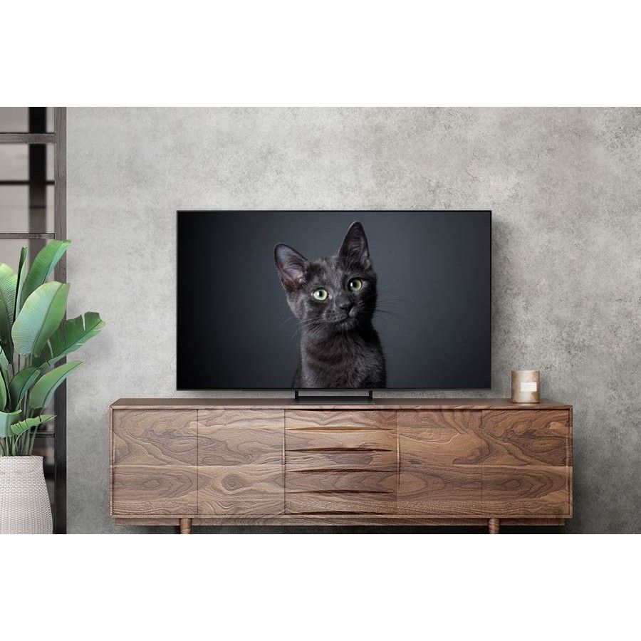 Телевизор Samsung QE65S90C, 65″, черный— фото №1