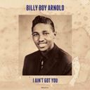 Виниловая пластинка Billy Boy Arnold - I Ain't Got You (2021)— фото №0