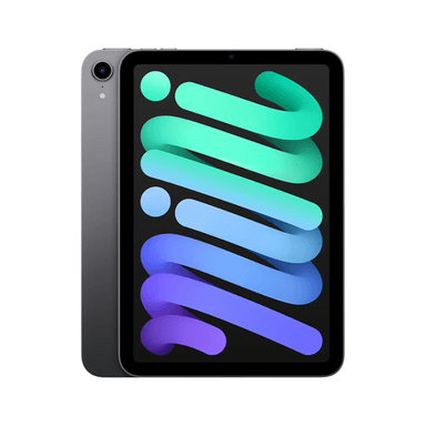2021 Apple iPad mini 8.3″ (256GB, Wi-Fi, серый космос)