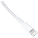 Кабель Apple Lightning/USB (2м) USB / Lightning, 2м, белый— фото №4