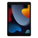 2021 Apple iPad 10.2″ (256GB, Wi-Fi, серый космос)— фото №1