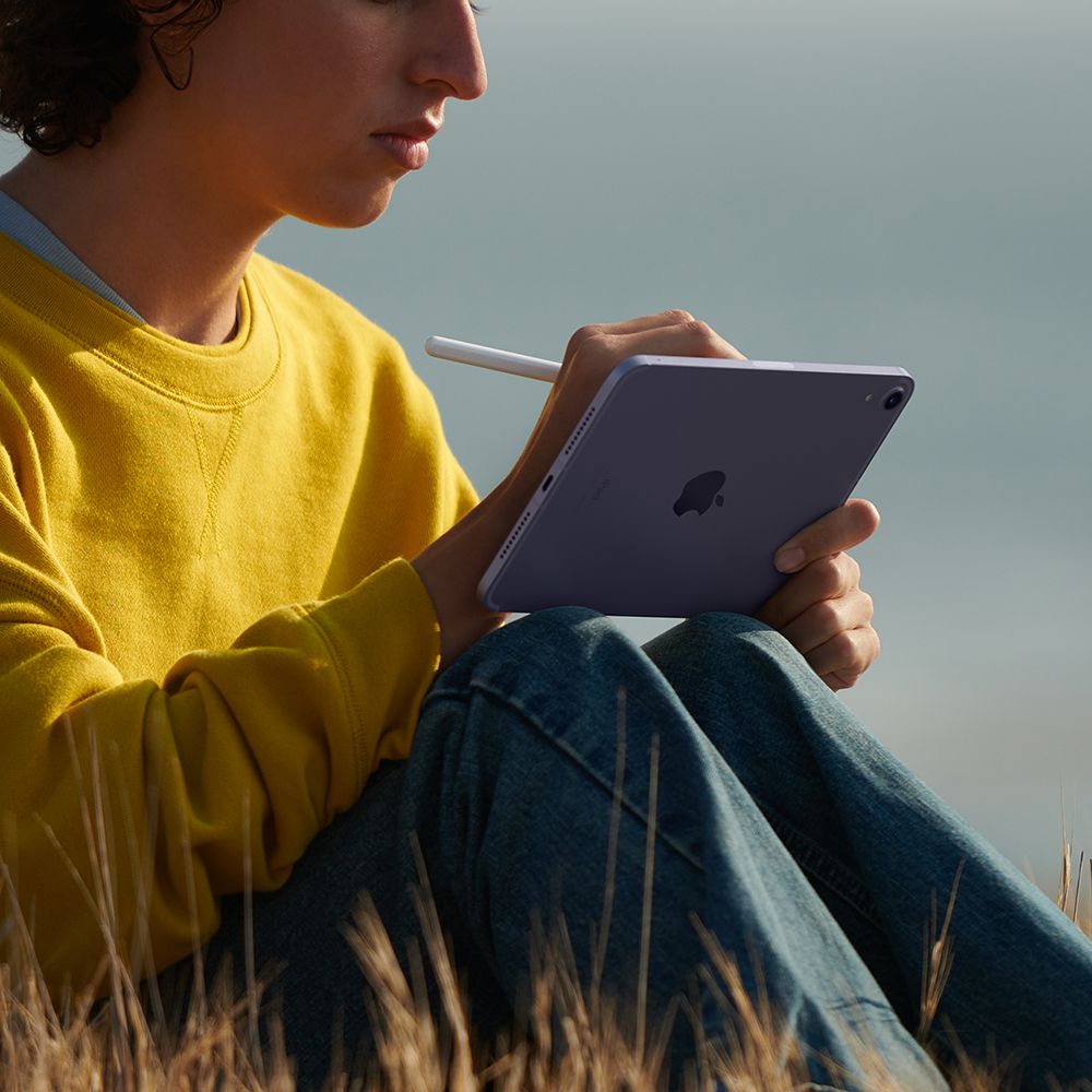 2021 Apple iPad mini 8.3″ (64GB, Wi-Fi + Cellular, сияющая звезда)— фото №7
